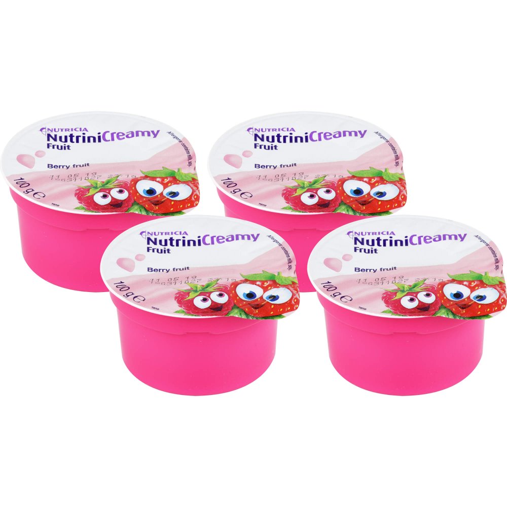 Danone Deutschland GmbH Nutrini Creamy Fruit Beerenfrüchte 10356086
