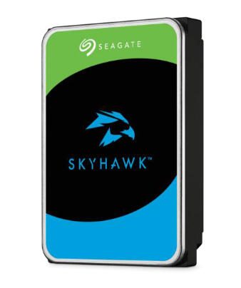 Seagate SkyHawk SATA HDD - 1 TB ST1000VX013