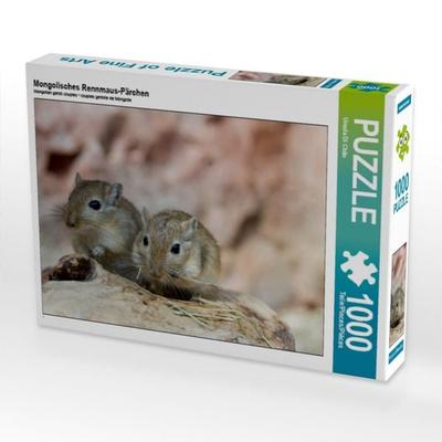 CALVENDO Puzzle Mongolisches Rennmaus-Pärchen | 1000 Teile Lege-Größe 64x48cm Foto-Puzzle für glückliche Stunden