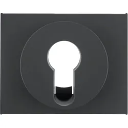 Berker Zentralstück 15057006