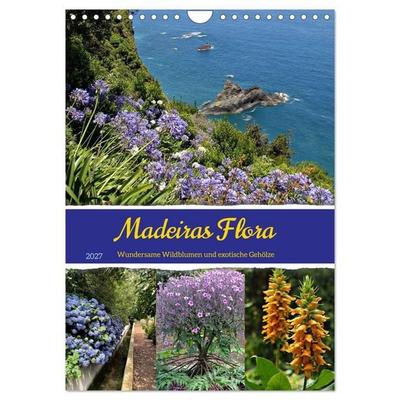 Madeiras Flora. Wundersame Wildblumen und exotische Gehölze (Wandkalender 2027 DIN A4 hoch), CALVENDO Monatskalender