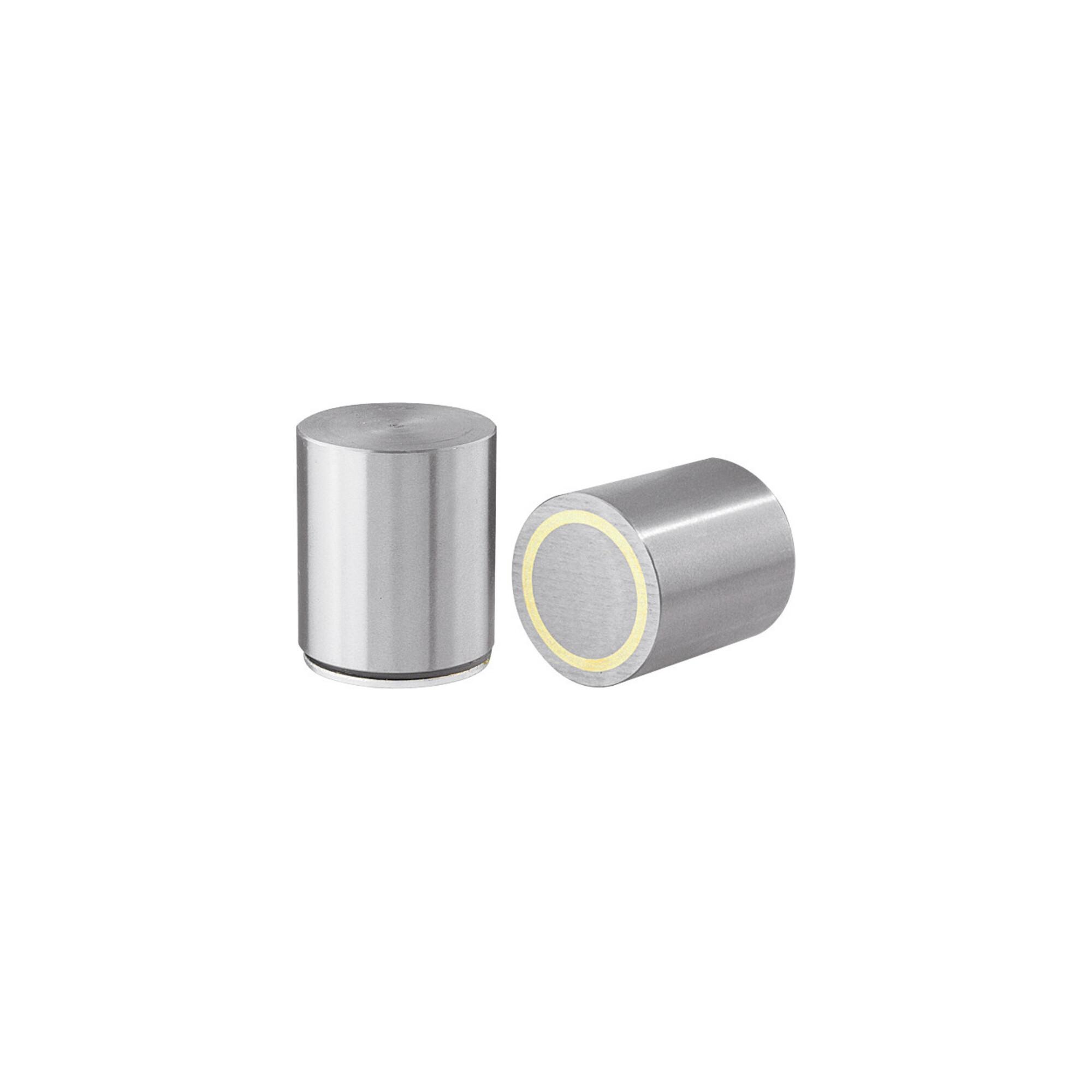 Stabgreifermagnet mit Passungsmaß, AlNiCo,⌀ 13 mm ; nVent HOFFMAN (E733)