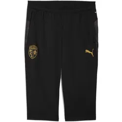Puma, Herren, Sporthose, Rcl (XS), Schwarz