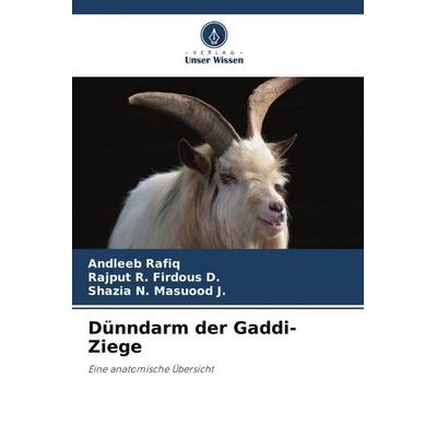Dünndarm der Gaddi-Ziege, Taschenbuch von Andleeb Rafiq,Rajput R. Firdous D.,Shazia N. Masuood J., Verlag Unser Wissen, 978-620-5-82172-5