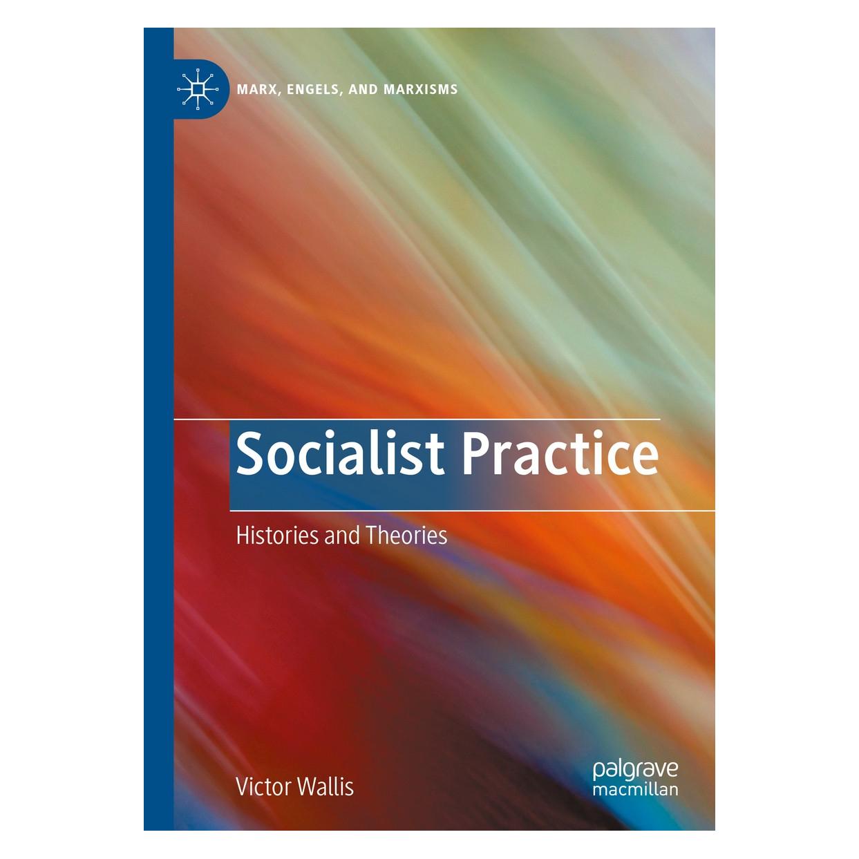 Springer Socialist Practice (9783030350659)