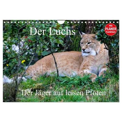 Der Luchs - Der Jäger auf leisen Pfoten (Wandkalender 2026 DIN A4 quer), CALVENDO Monatskalender