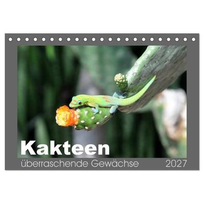 Kakteen - überraschende Gewächse (Tischkalender 2027 DIN A5 quer), CALVENDO Monatskalender