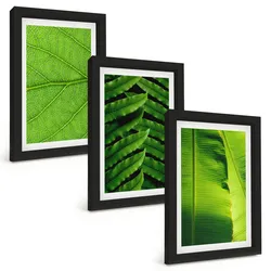 BILDER SET 3er Set - 20x30 cm Schwarzer Rahmen - Makrofotografie von tropischen Blättern