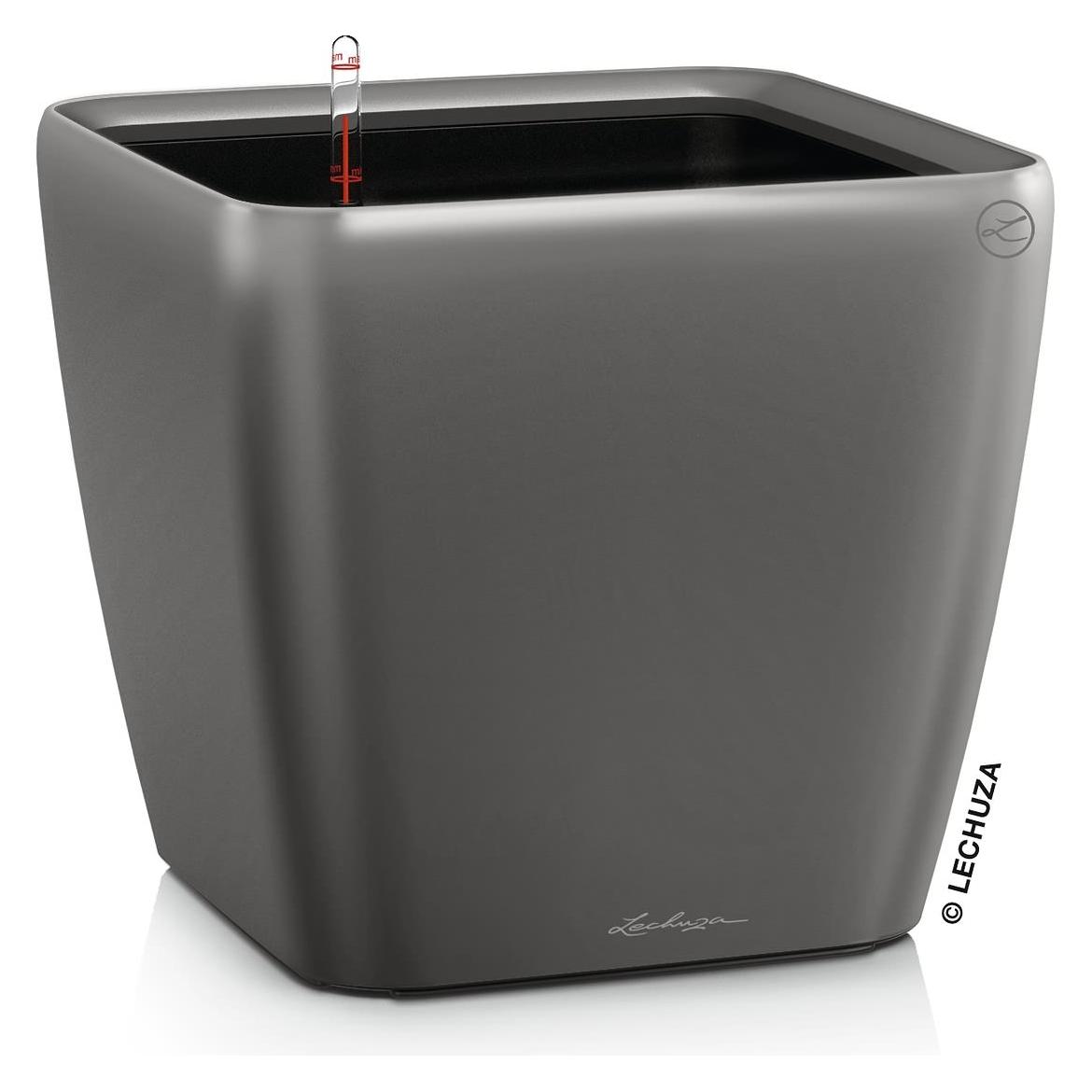 Lechuza Quadro LS (43 x 43 x 39 cm) (16183)