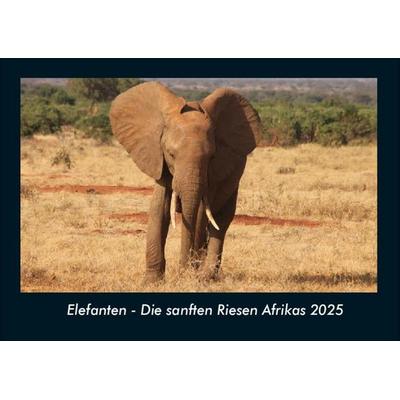 Elefanten - Die sanften Riesen Afrikas 2025 Fotokalender DIN A4