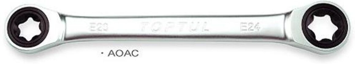 Toptul Chiave ad anello con cricchetto E20xE24 beidseitig