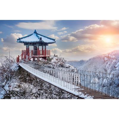 Fototapete PAPERMOON "WINTER-LANDSCHAFT-GUEMOSAN SÜDKOREA ASIEN WALD SONNE", bunt, B:2,5m L:1,86m, Vlies, Tapeten