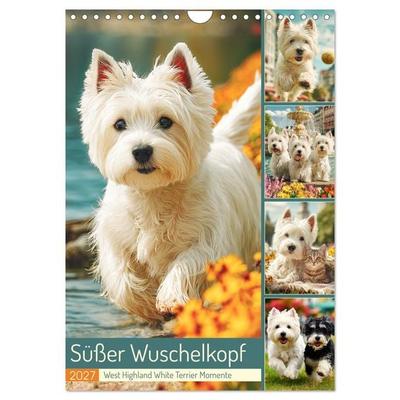Süßer Wuschelkopf. West Highland White Terrier Momente (Wandkalender 2027 DIN A4 hoch), CALVENDO Monatskalender