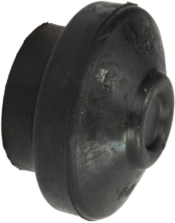 Reinhoch Paracolpi, sospensione motore RH11-0043