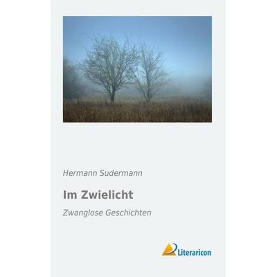 Im Zwielicht, Taschenbuch von Hermann Sudermann, Literaricon, 978-3-95697-480-9