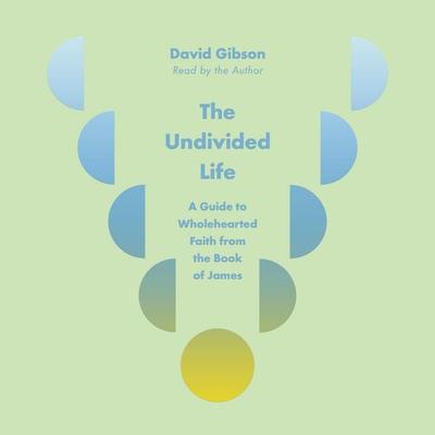 The Undivided Life - David Gibson, Audio, 9798874911942