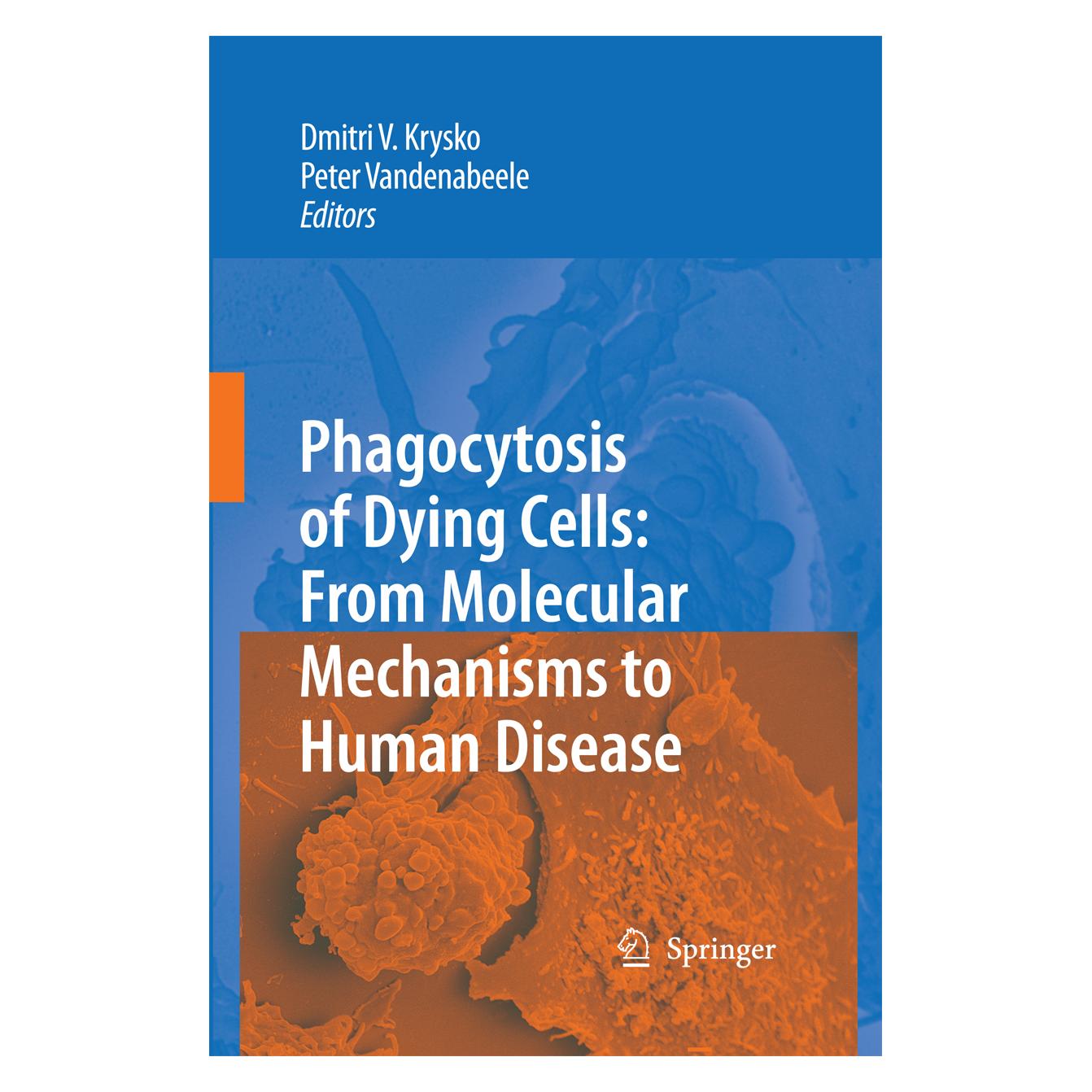 Springer Phagocytosis of Dying Cells (Englisch, Softcover, Dmitri V. Krysko, Peter Vandenabeele) (55574945)