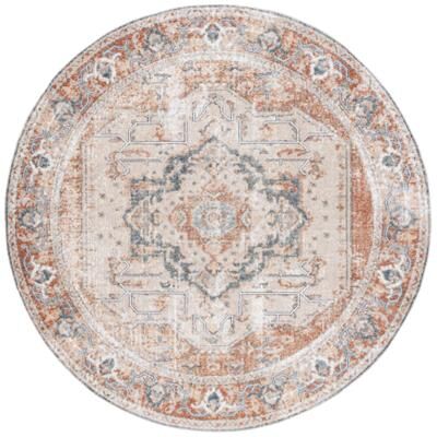 SAFAVIEH Baltimore Olimpia Machine Washable Shabby Chic Vintage Oriental Rug