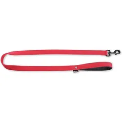 Martin Sellier L (25, Hund, Spazieren), Halsband + Leine