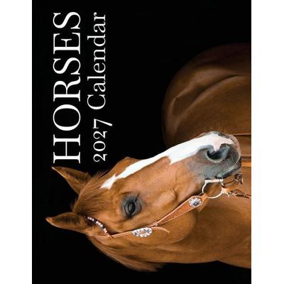 Horses 2027 Calendar, Taschenbuch von B. Patrick, Baldega Books