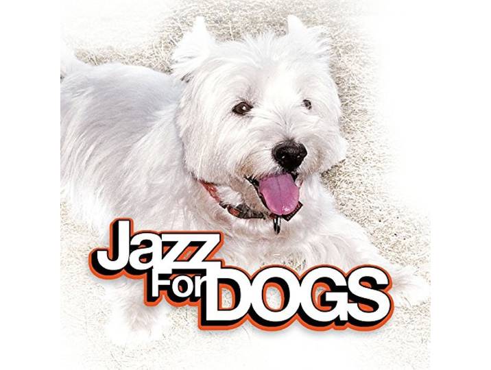 Jazz For Dogs