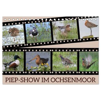 PIEP-SHOW im Ochsenmoor (Tischkalender 2026 DIN A5 quer), CALVENDO Monatskalender