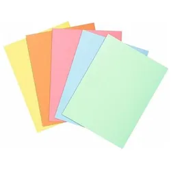 Exacompta, Mappe, Super 60 g/m2 Pastellkarton-Ordner (A4, 10x)