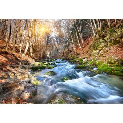Papermoon "Fluss durch Wald"