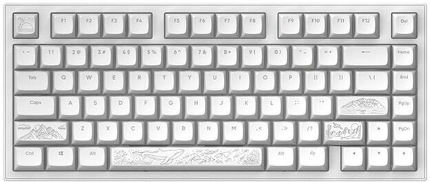 TECLADO GAMING DARKPROJECT NOSTRA 81 US WH