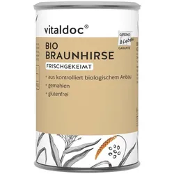 Braunhirse - frischgekeimt