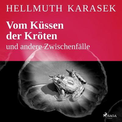 Vom Küssen der Kröten und andere Zwischenfälle - Hellmuth Karasek, Audio, 9788726469271