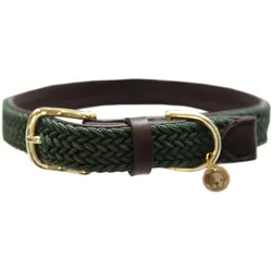 Kentucky Dogwear Hundehalsband geflochten (L, Hund, Spazieren), Halsband + Leine