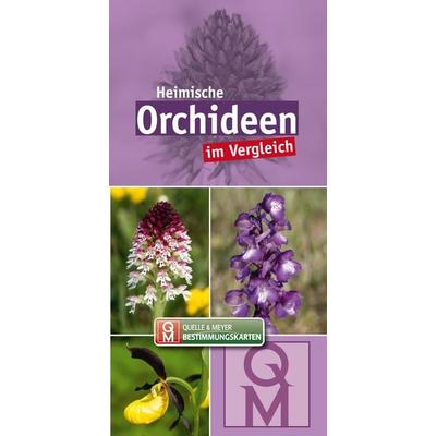 Heimische Orchideen, Sonstige von , Quelle & Meyer, 978-3-494-01926-0