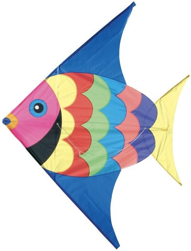 Cerf-volant Comète Poisson - Vilac
