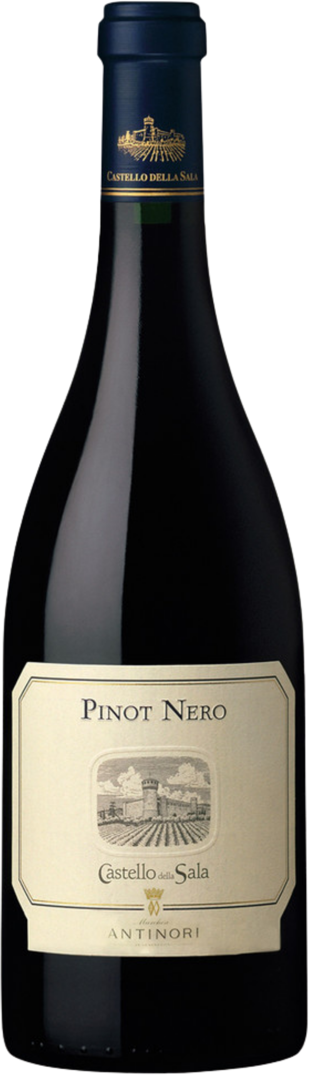 Castello della Sala - Antinori Pinot Nero Castello della Sala Antinori 2020