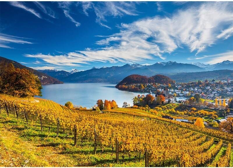 Schmidt Puzzles - Vignobles - 2000 pcs