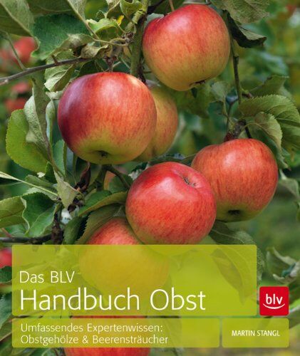 Das BLV Handbuch Obst: Umfassendes Expertenwissen: Obstgehölze & Beerensträucher - Preis vom 09.10.2026 07:28:09 h