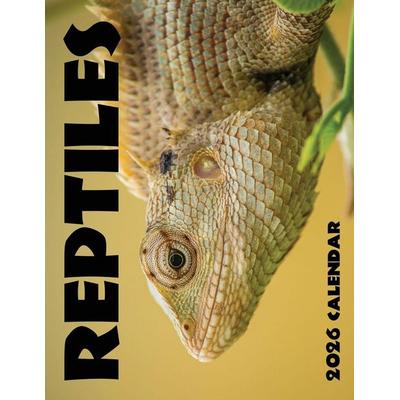 Reptiles 2026 Calendar, Taschenbuch von B. Patrick, Baldega Books