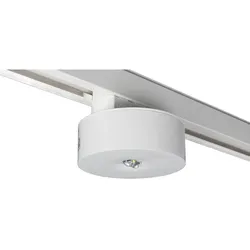 RP-Technik Sicherheitsleuchte ILDL423SC-3P