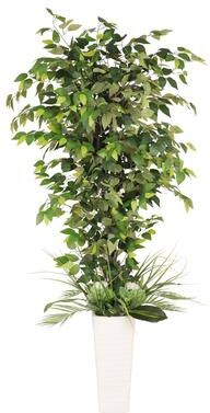 Puleo International 6 ft. Artificial Ficus Microcarpa Tree