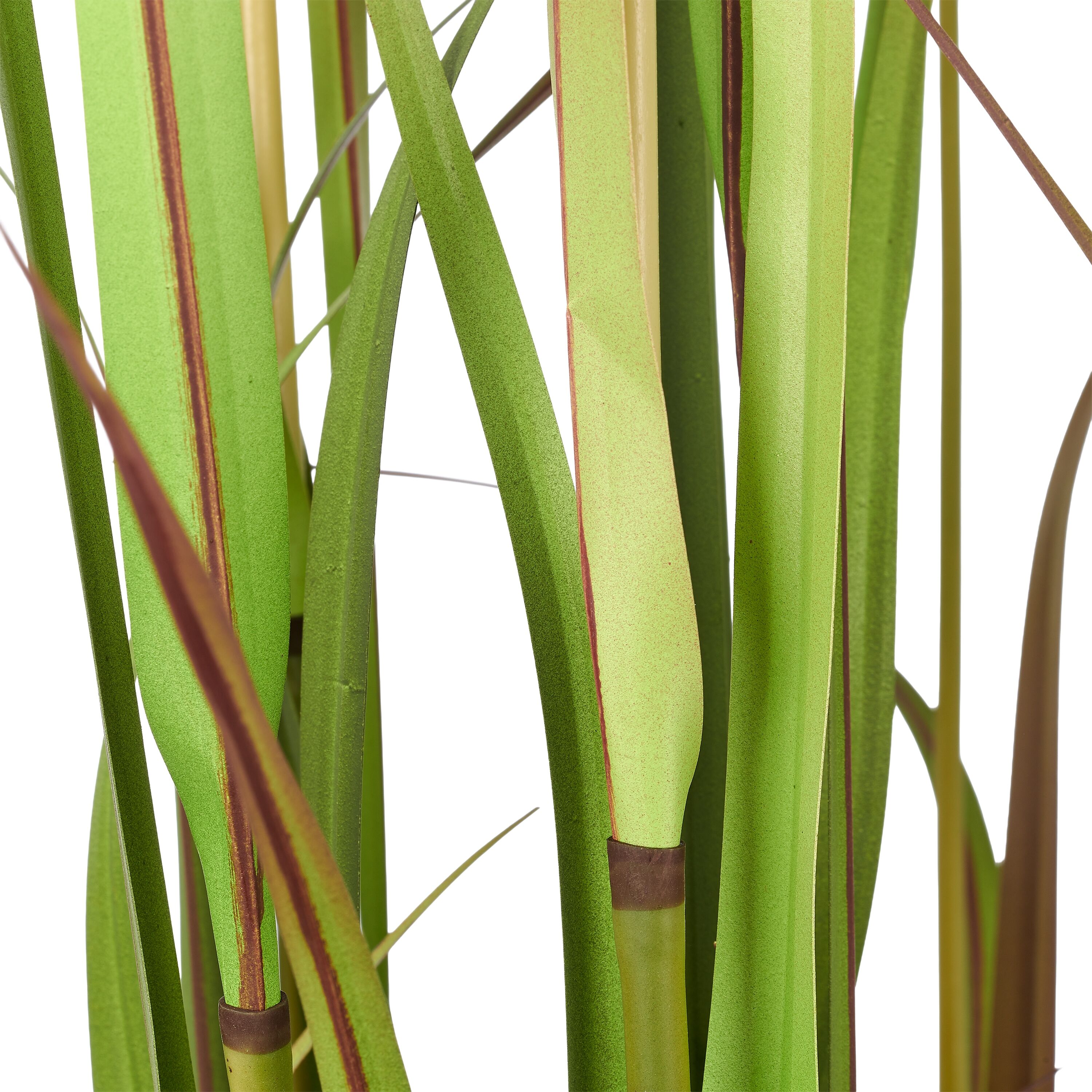 Kunstgras CREATIV GREEN "Grasbusch Cortaderia jubata", grün, H:150cm, Obermaterial: 100% Kunststoff, Kunstpflanzen, in toller Größe