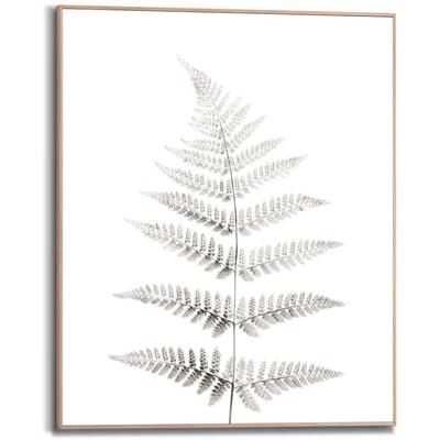 Bild REINDERS "Farn Pflanz - Natur - Botanisch", grün (farbe bild(er): khaki), B:40cm H:50cm, Holzwerkstoff, Bilder, Bild