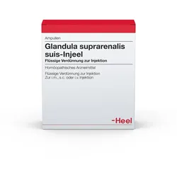 Glandula Suprarenalis suis Injeel Ampull 10 St