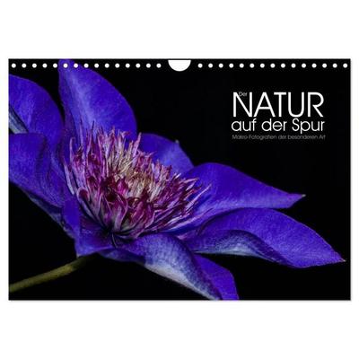 Der Natur auf der Spur - Makro-Fotografien der besonderen Art (Wandkalender 2026 DIN A4 quer), CALVENDO Monatskalender