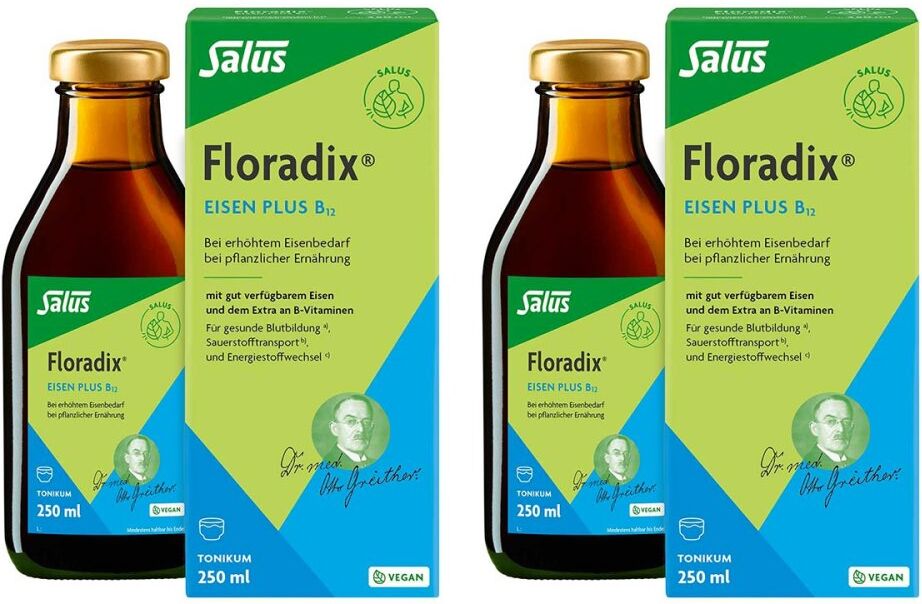 Floradix Eisen Plus B12 vegan Tonikum 2x250ml