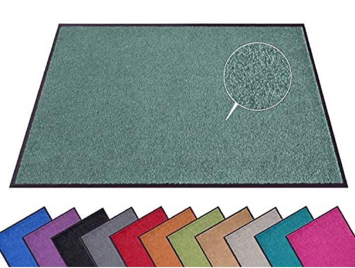 Hanse Home Paillasson (S-XXL)\, 120 x 180 cm\, 12 Couleurs\, pour l'extérieur\, Lavable\, résistant aux intempéries\, antidérapant\, pour l'entrée et l'extérieur\, Vert Olive