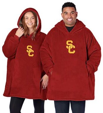 NCAA Big Ten Silk Touch Hoodler