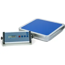 Pesola, Feinwaage, Allzweck Plattformwaage, 60 kg, mit RS-232 Schnittstelle