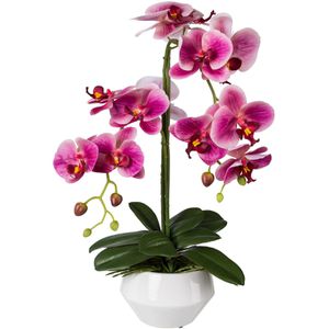 Creativ-green Kunstblume Orchidee, Phalaenopsis, fuchsia, im Keramik-Topf, Höhe 52 cm