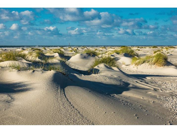 Fototapete PAPERMOON DÜNEN-NATUR NORD SEE SAND STRAND MEER WÜSTE LANDSCHAFT , bunt, B:4m L:2,6m, Vlies, Tapeten, Fototapete
